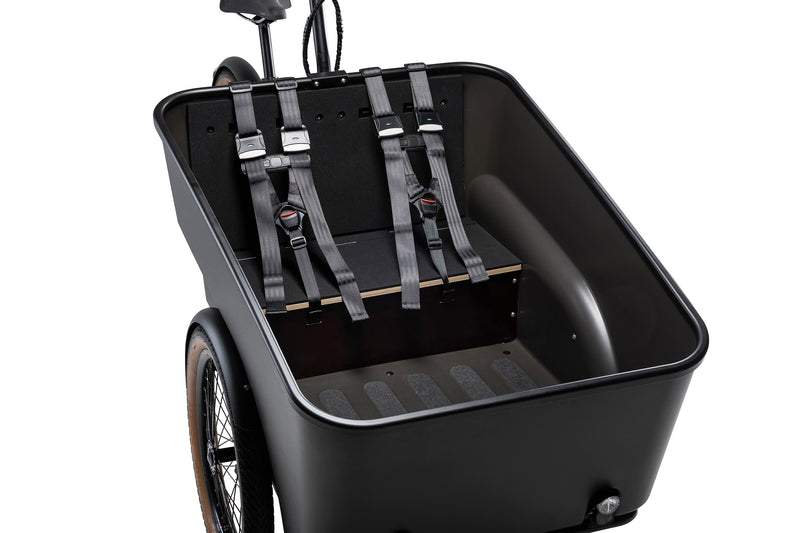 Dynamic Cargo 3 Mid-drive motor