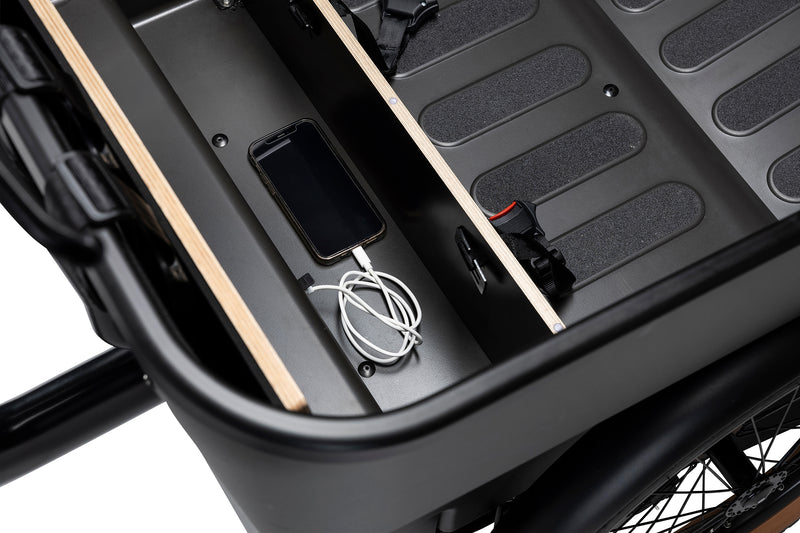 Dynamic Cargo 3 Mid-drive motor