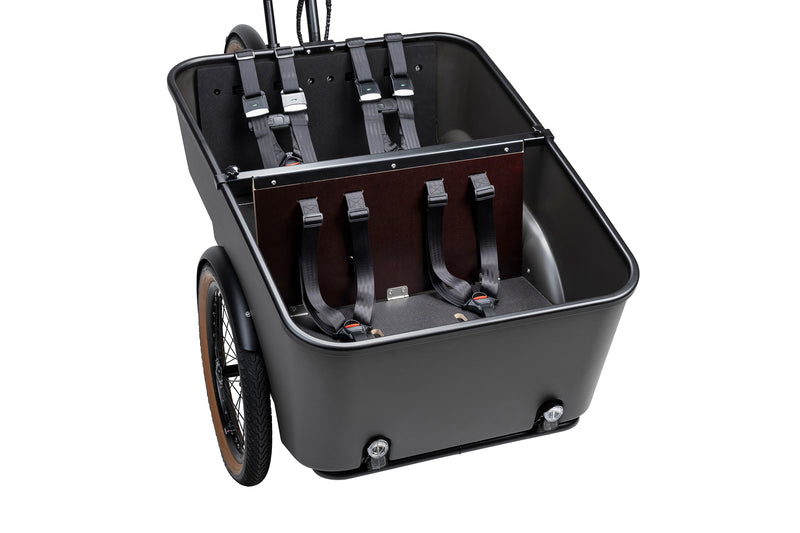 Dynamic Cargo 3 Mid-drive motor