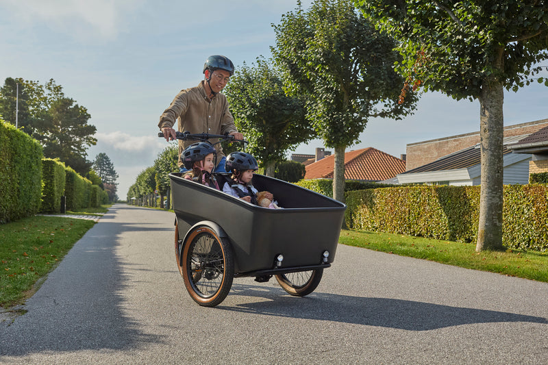 Dynamic Cargo 3 